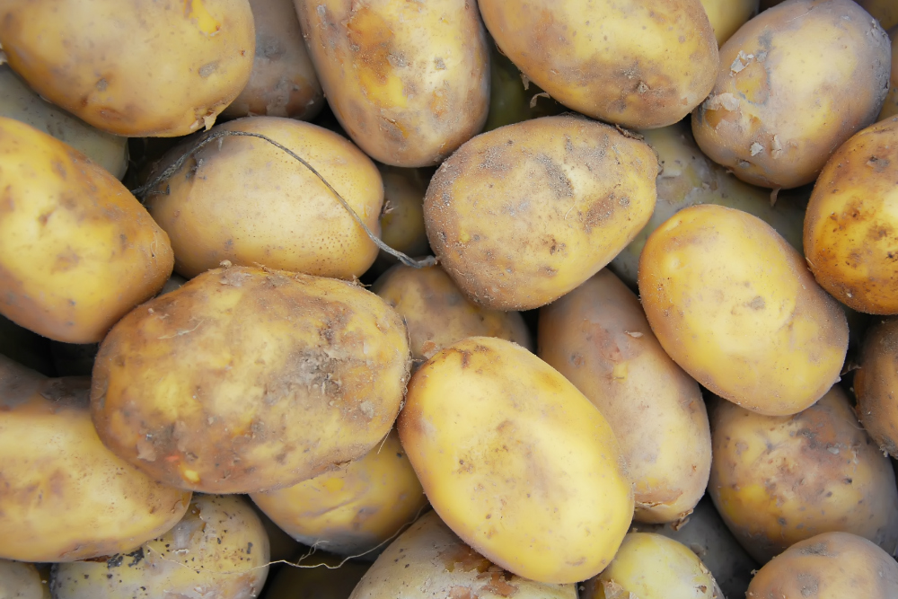 aardappel goed voor je hart - gezondNU