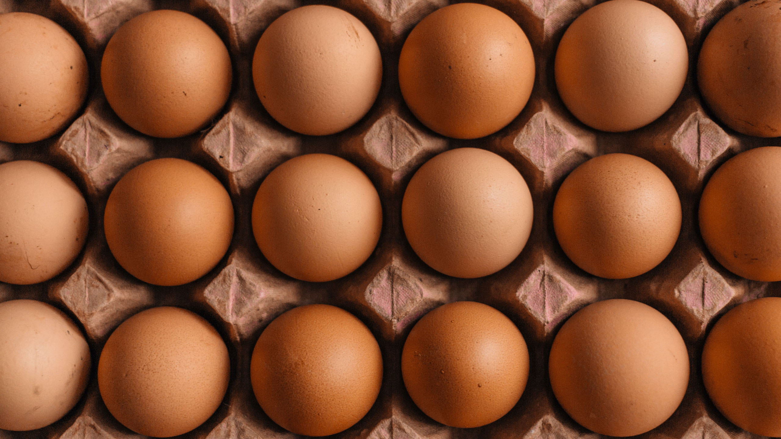 taal Bloeden precedent De meest gestelde vragen over eieren - gezondNU