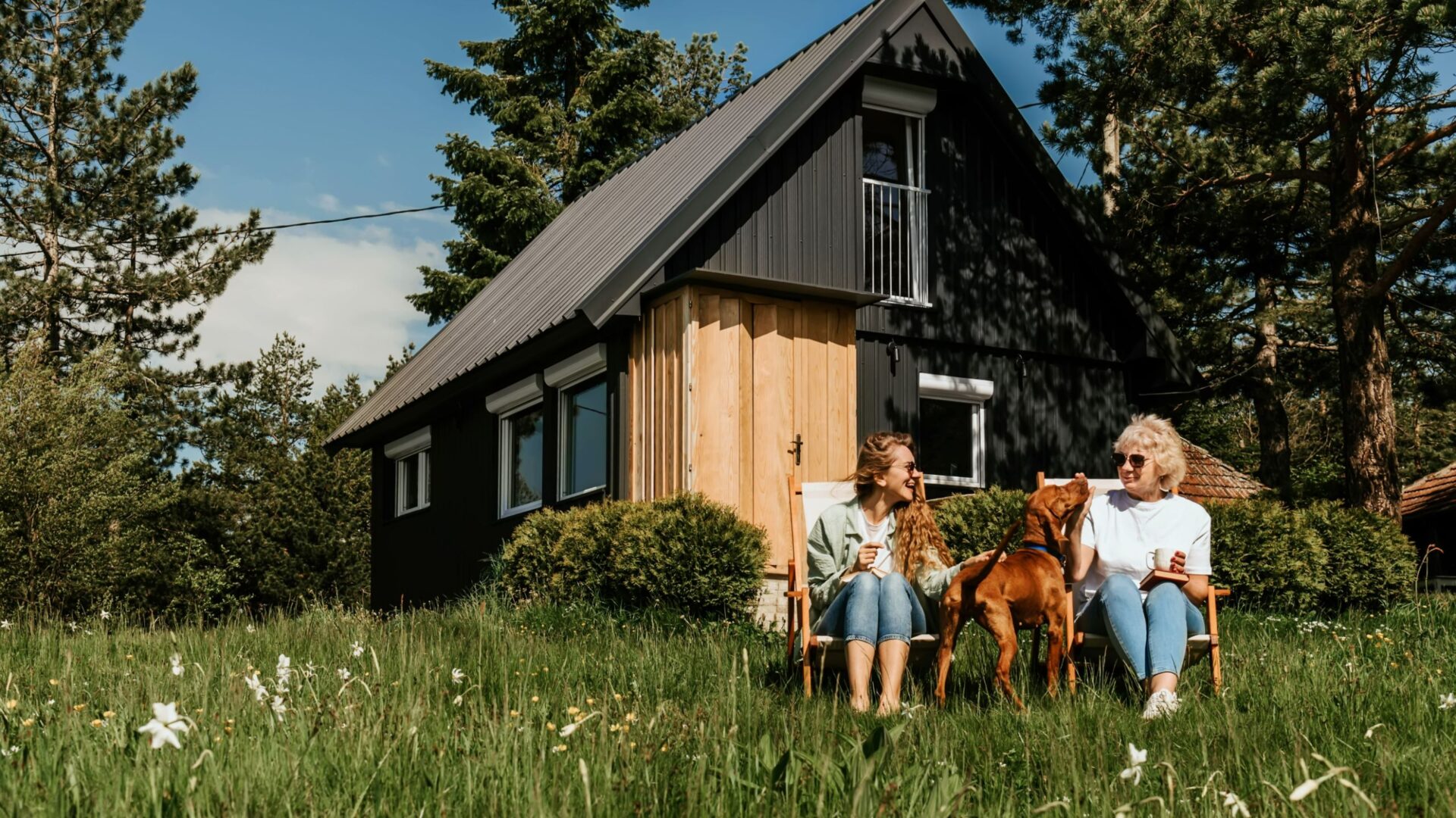 Fantastische natuurhuisjes in nederland