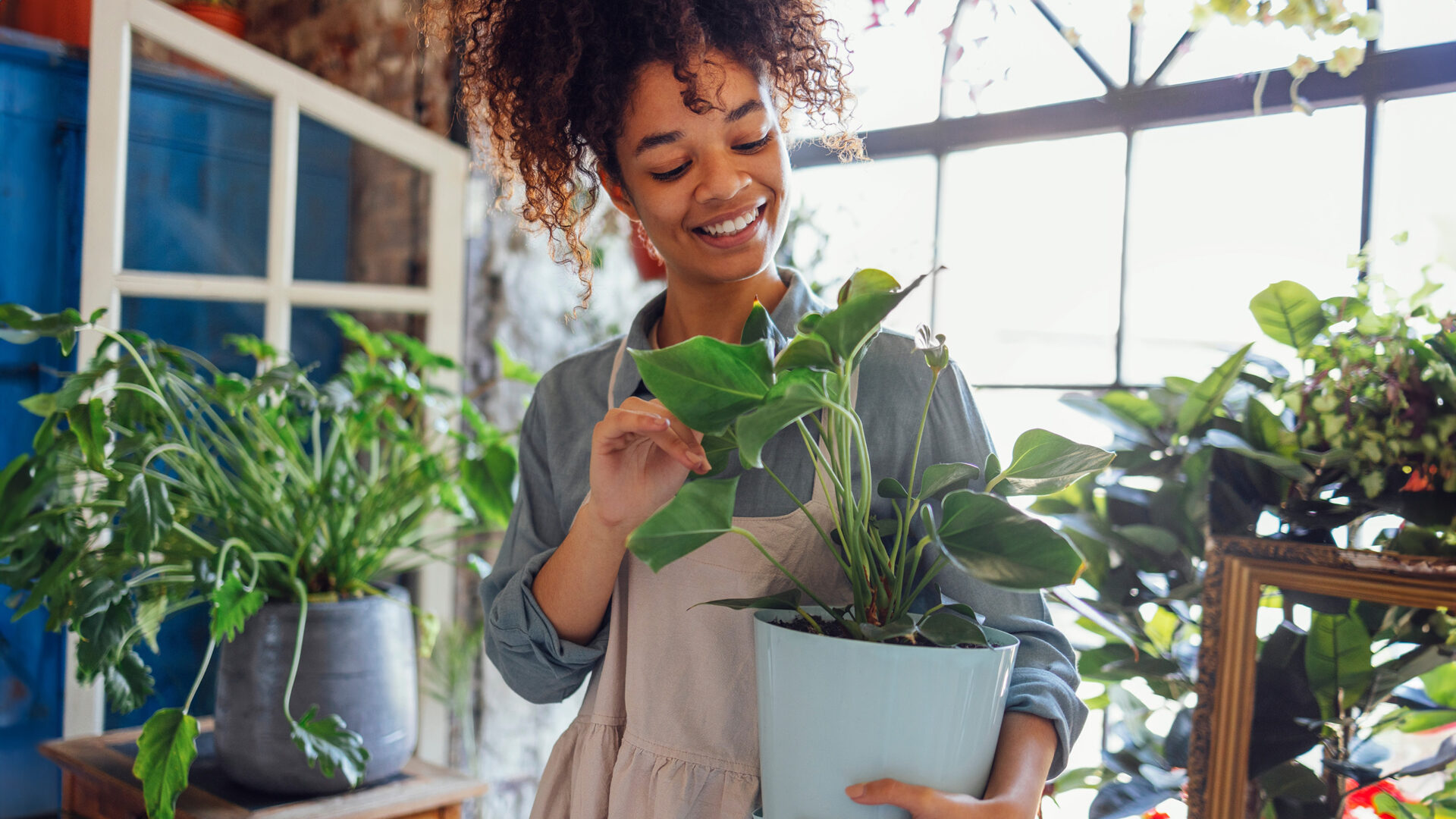 Vrouw houdt een plant vast