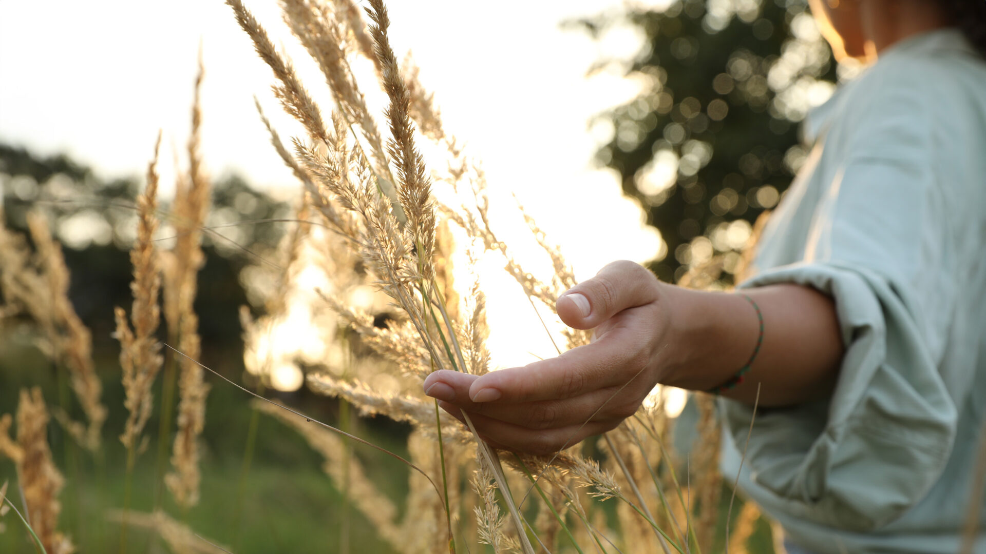 Vrouw steekt hand uit naar lange grasspriet