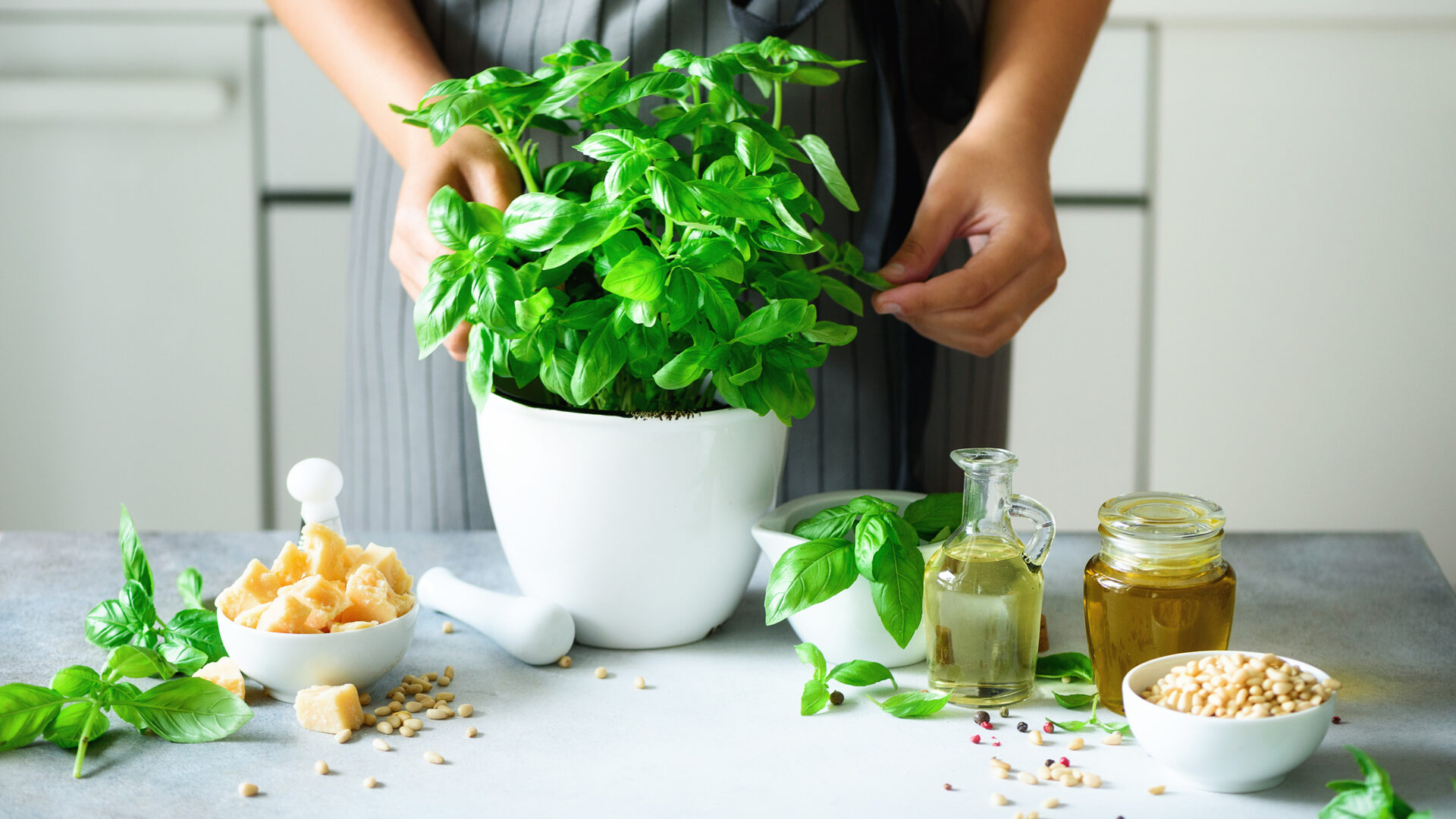 pot met basilicum op het aanrecht