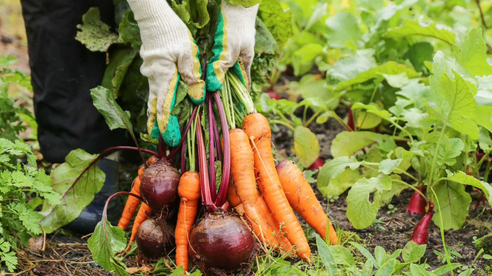 Is biologisch eigenlijk wel beter?