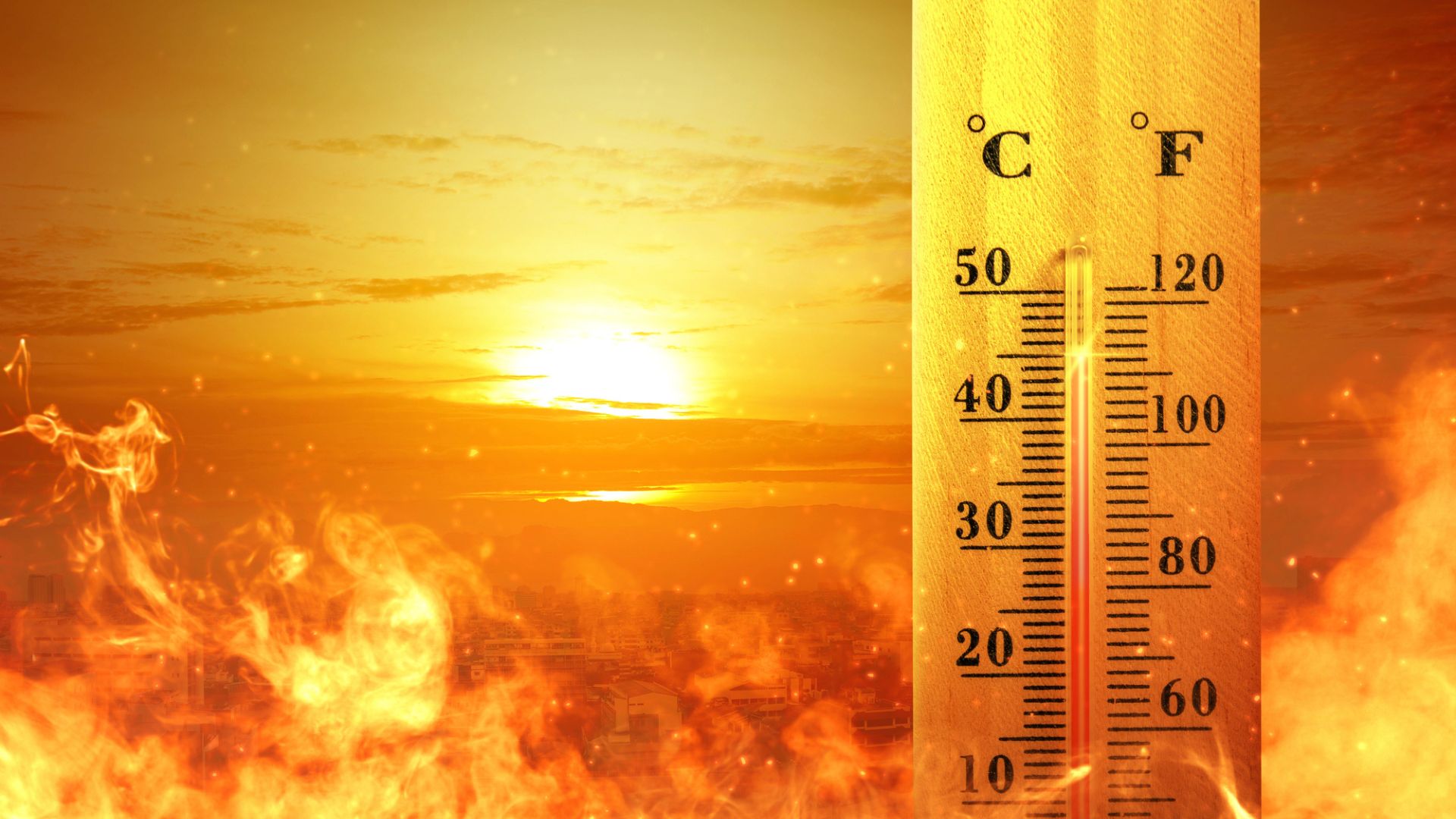 MS en de zomer: voorbereiding en strategieën